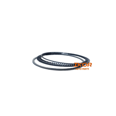 TRIBER RING KIT